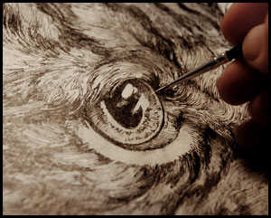 pencil sketch of a cat's head